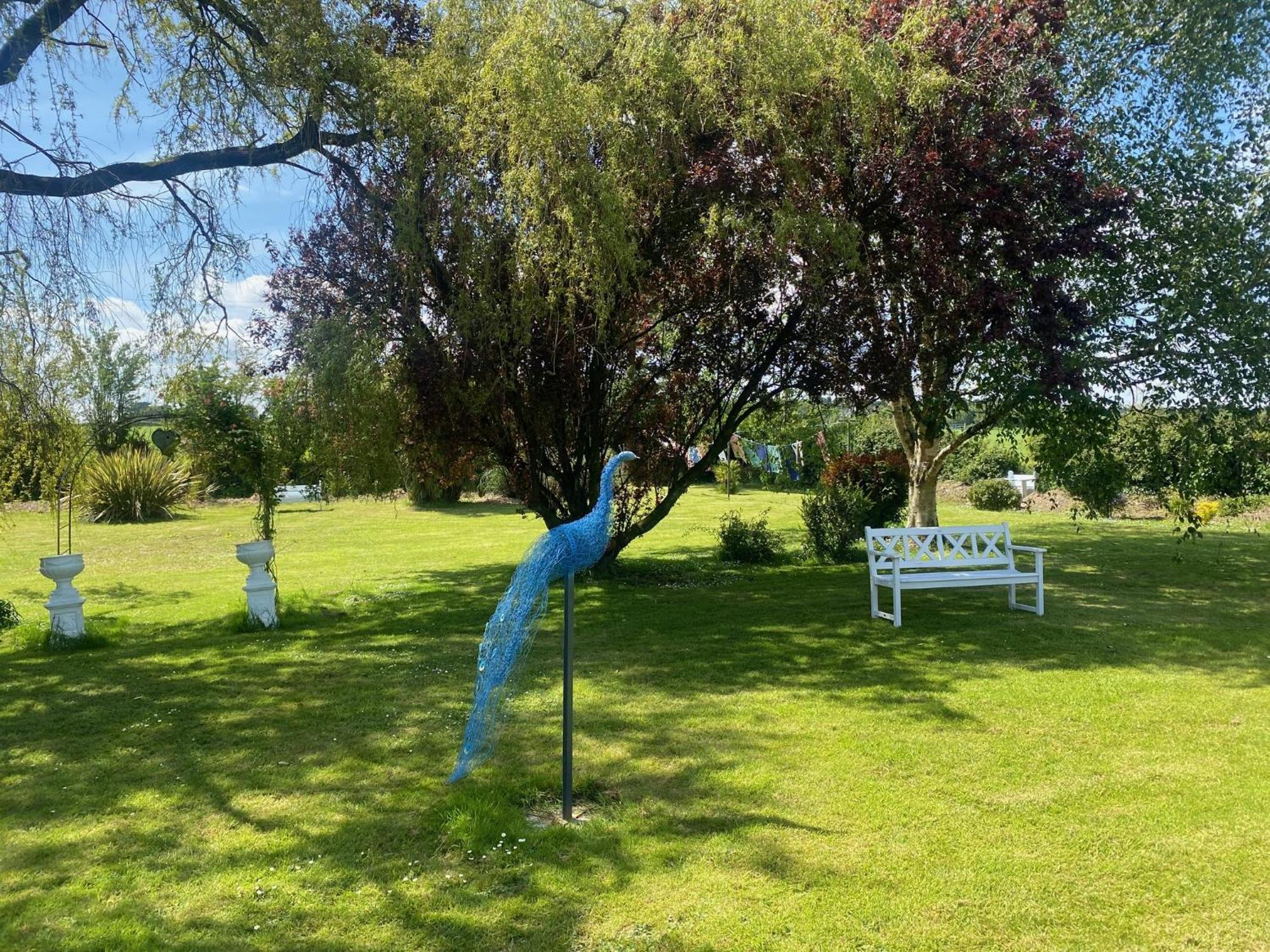 Villa Nolans Organic Farm à Wexford Extérieur photo